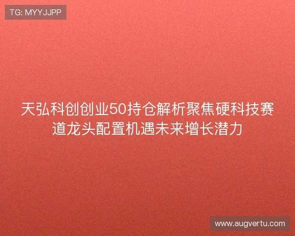 天弘科创创业50持仓解析聚焦硬科技赛道龙头配置机遇未来增长潜力 天弘科创创业50持仓解析聚焦硬科技赛道龙头配置机遇未来增长潜力